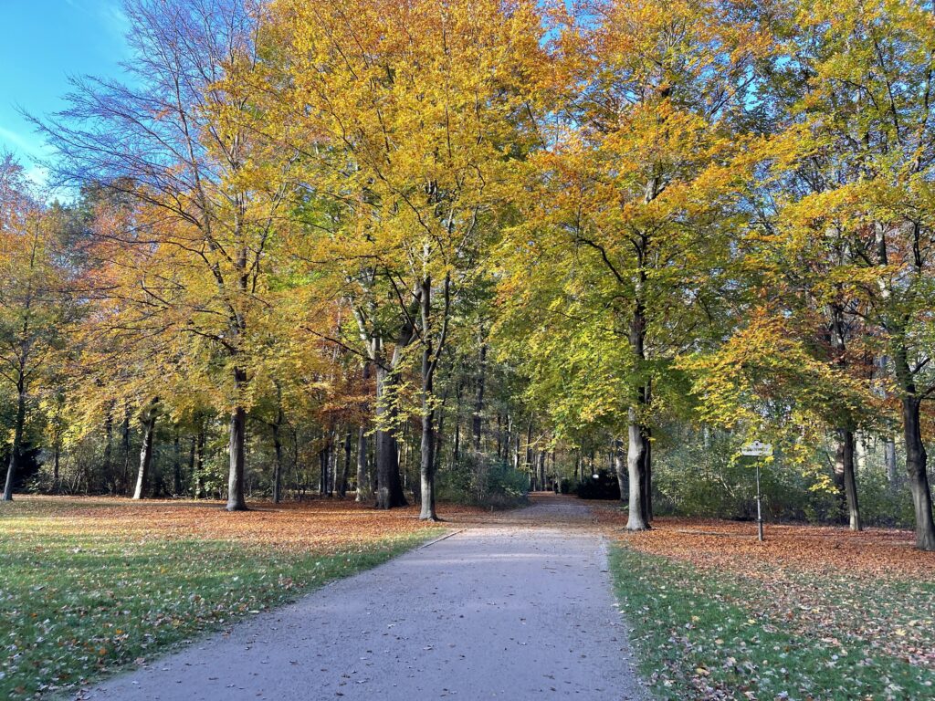 Autumn in Berlin is stunning 